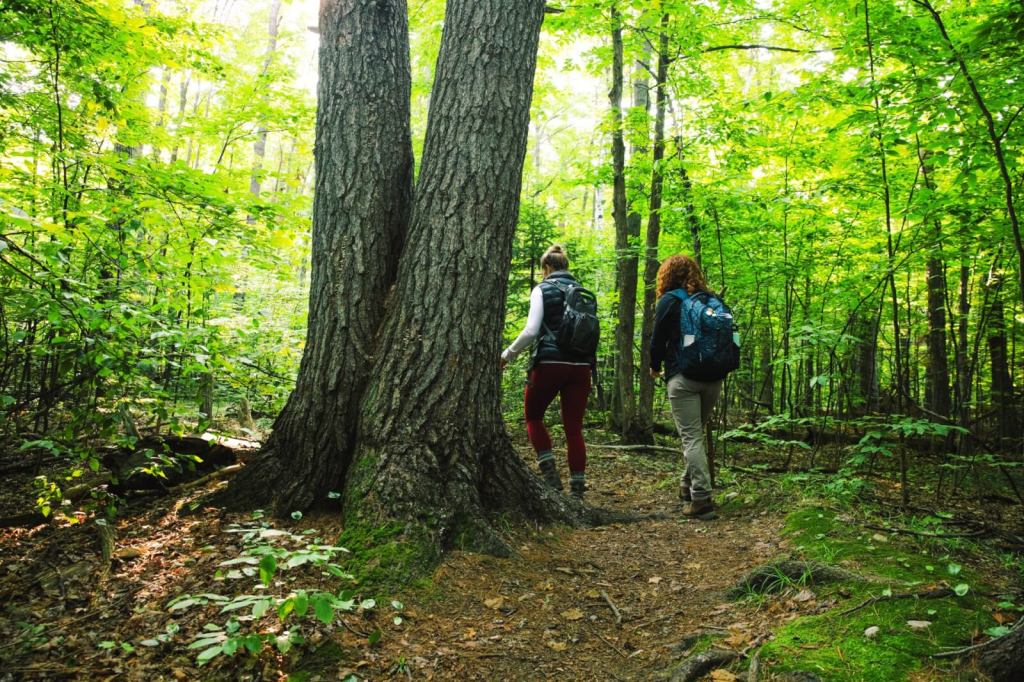 Tantestületi Csapatépítő!